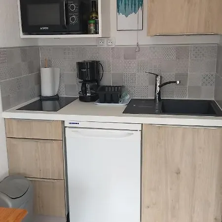 Plein Sud Vue Mont Blanc Appartement Chamonix