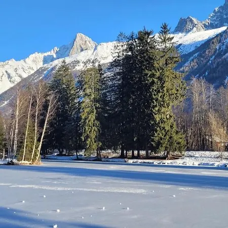 Appartement Plein Sud Vue Mont Blanc Chamonix